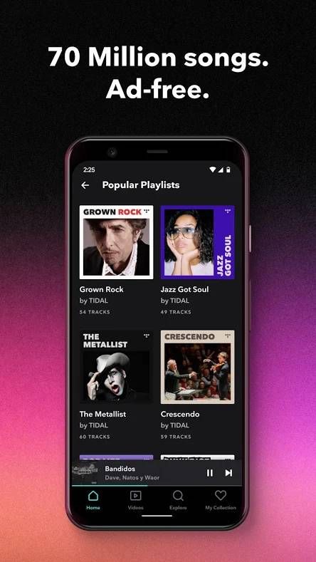 Tidal Playlist List