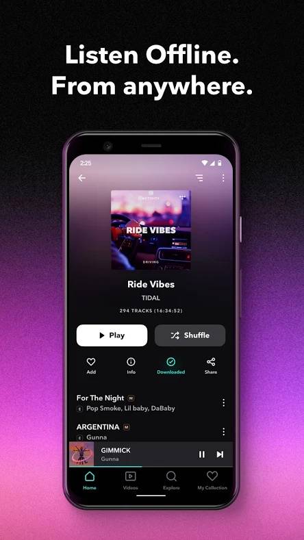 Tidal Playlist View