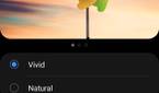 Samsung Galaxy S21 Ultra color profiles