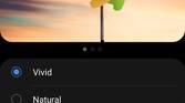 Samsung Galaxy S21 Ultra color profiles