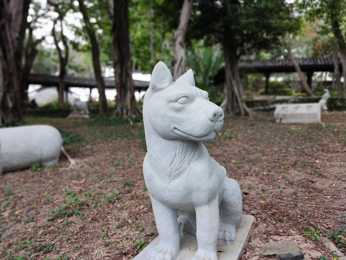 POCO F3 photo sample portrait