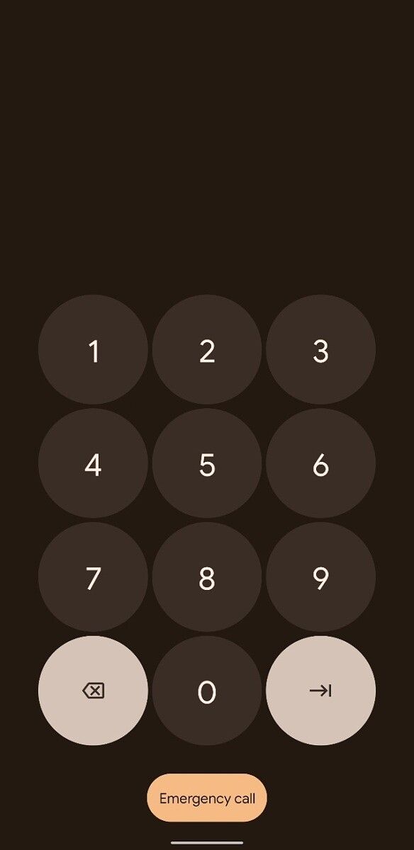Android 12 DP2 PIN revamp