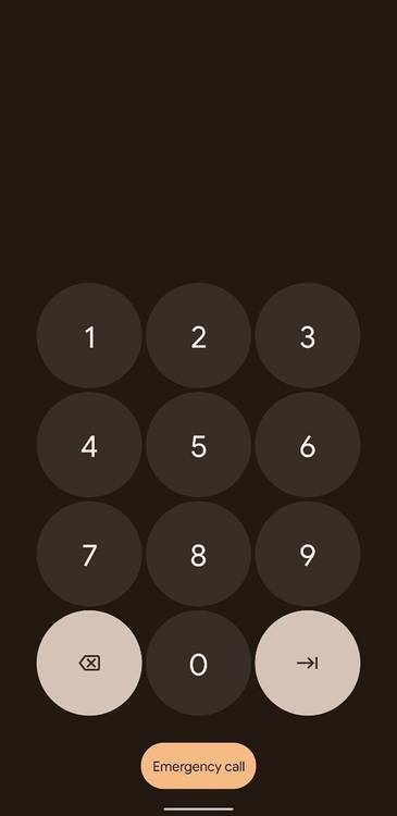 Android 12 DP2 PIN revamp