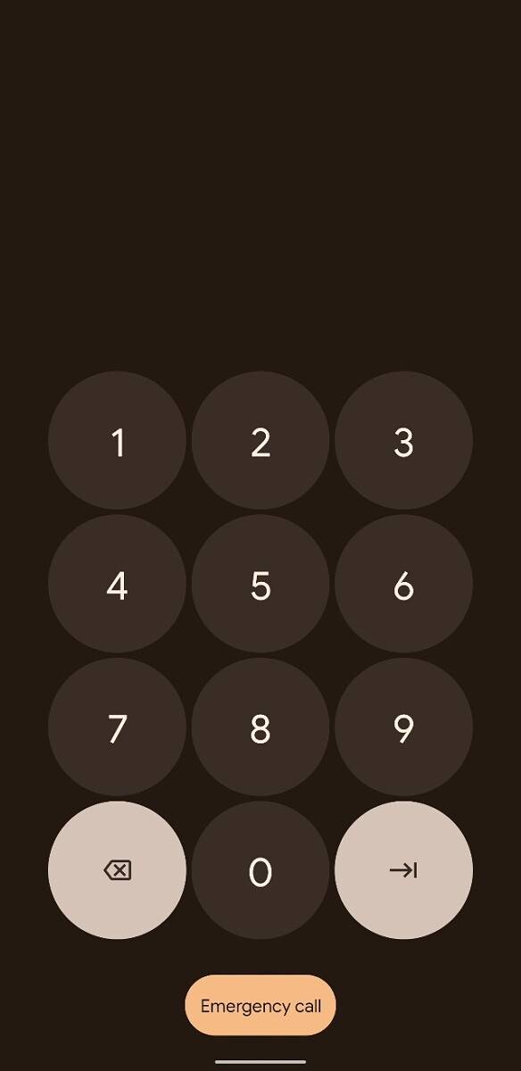 Android 12 DP2 PIN revamp