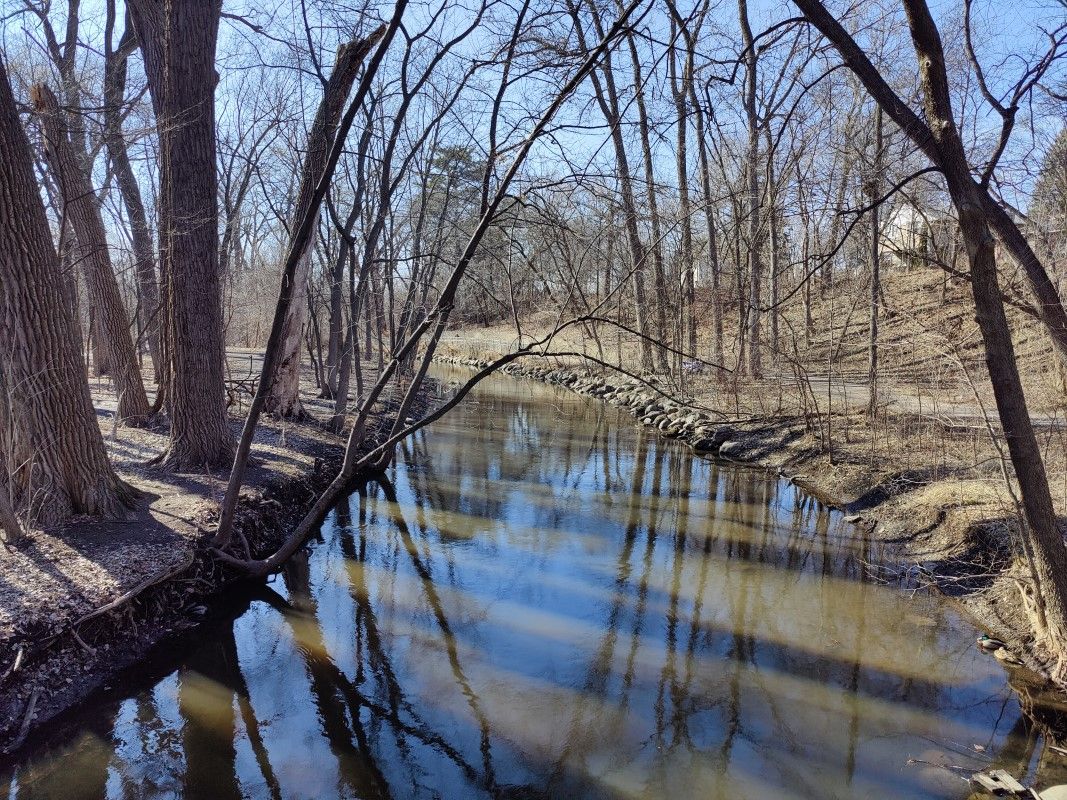 River flowing through the woods