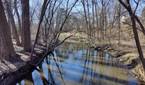 River flowing through the woods