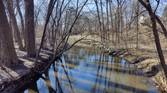 River flowing through the woods