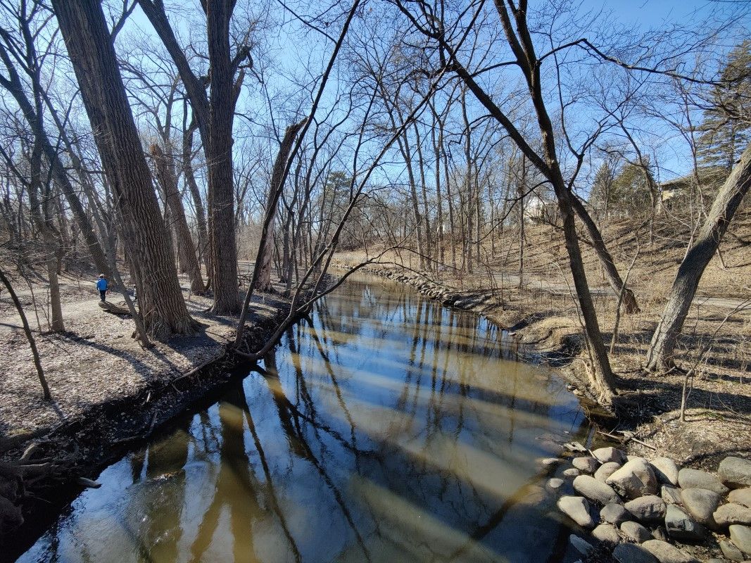 River flowing through the woods