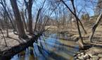 River flowing through the woods