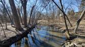 River flowing through the woods