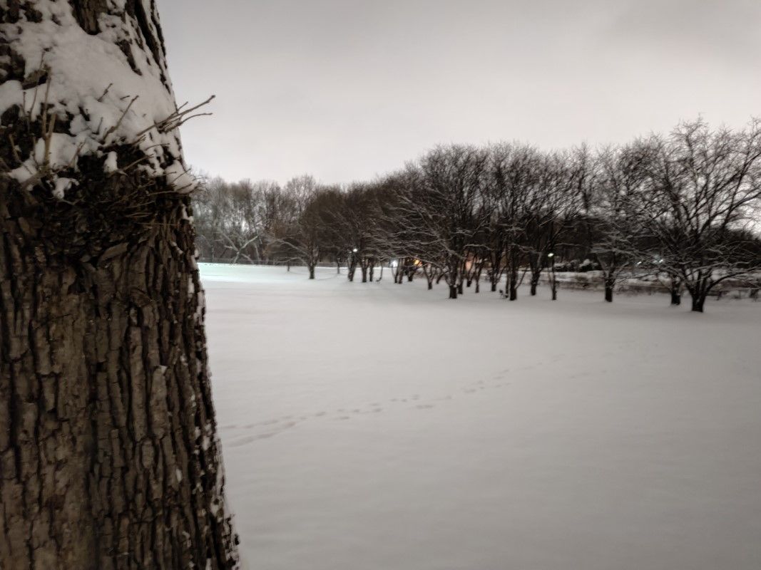 Night shot of a snowy landscape