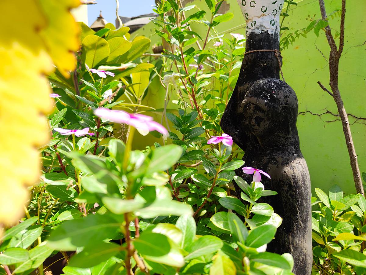 flowers leaves and vase clicked with Realme 8 Pro 108MP camera