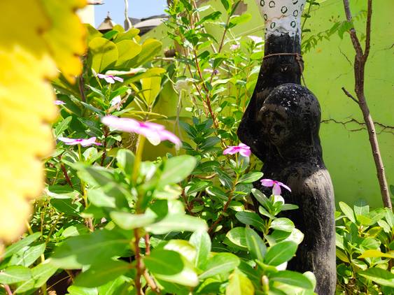 flowers leaves and vase clicked with Realme 8 Pro 108MP camera
