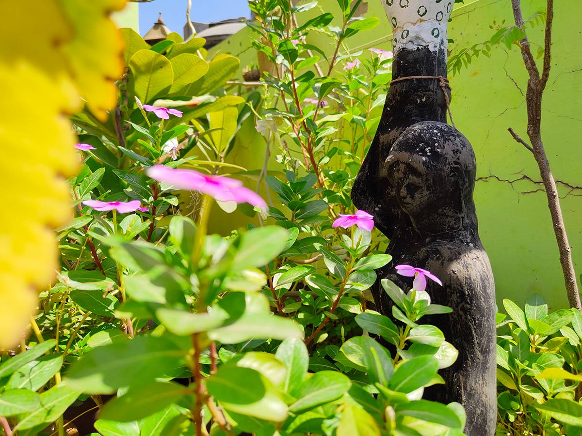 flowers and sculpture clicked with Realme 8 Pro 12MP camera