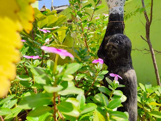 flowers and sculpture clicked with Realme 8 Pro 12MP camera