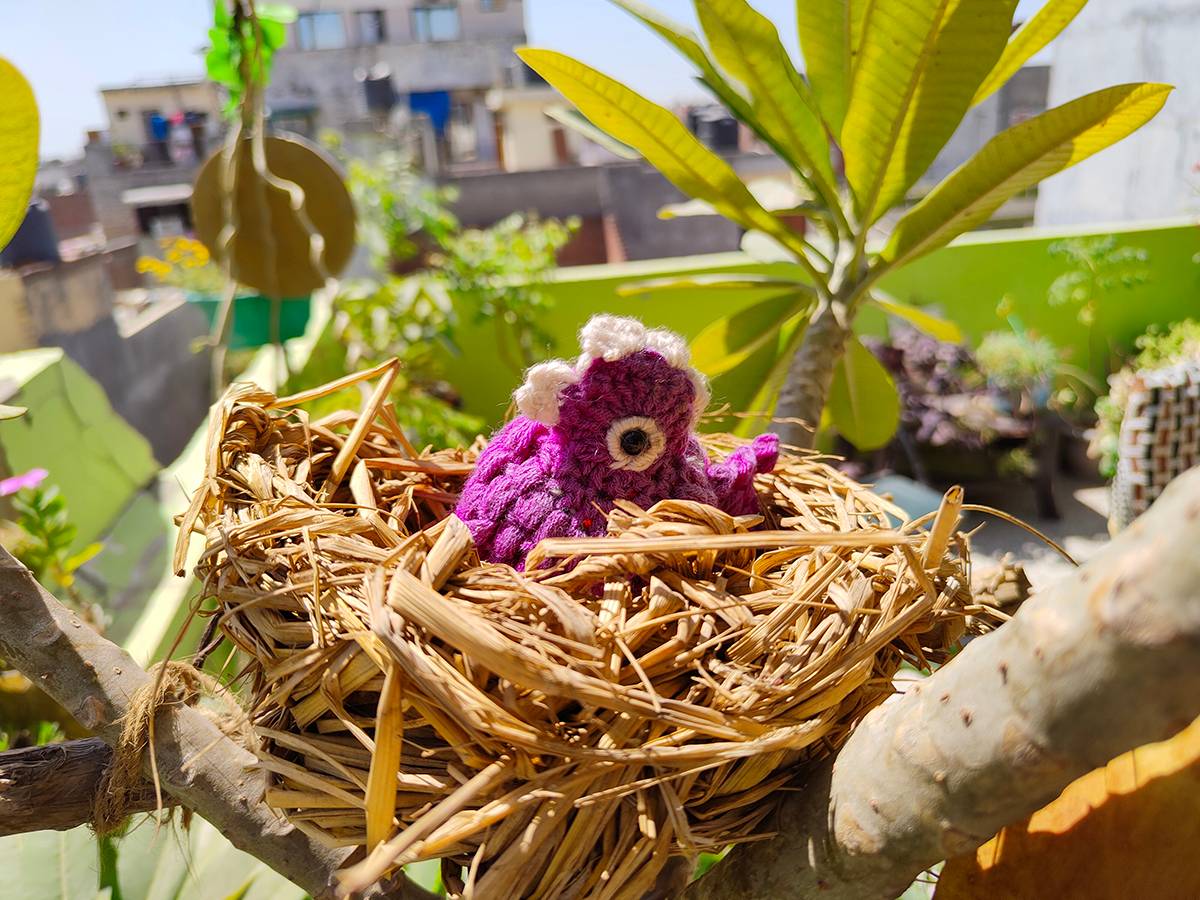 Nest clicked with Realme 8 Pro 108MP camera