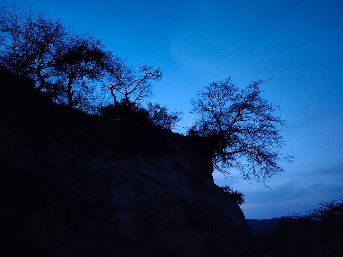 hill and trees clicked with Realme 8 Pro 108MP camera without Night mode