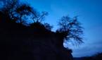 hill and trees clicked with Realme 8 Pro 108MP camera without Night mode