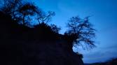 hill and trees clicked with Realme 8 Pro 108MP camera without Night mode