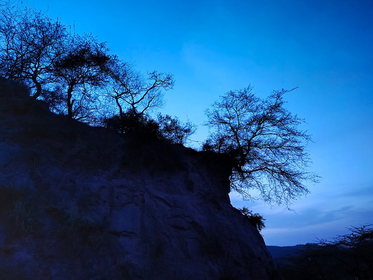 hill and trees clicked with Realme 8 Pro 108MP camera with Night mode