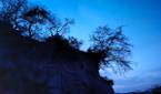 hill and trees clicked with Realme 8 Pro 108MP camera with Night mode