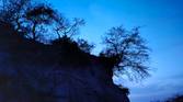 hill and trees clicked with Realme 8 Pro 108MP camera with Night mode