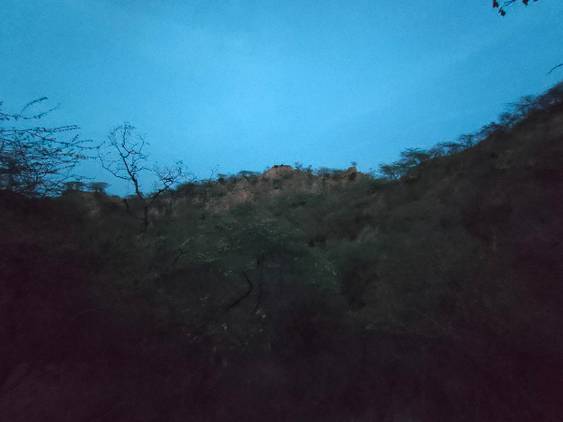 hill forest clicked with Realme 8 Pro ultrawide angle camera without Night mode