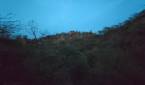 hill forest clicked with Realme 8 Pro ultrawide angle camera without Night mode