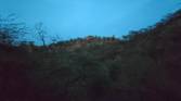 hill forest clicked with Realme 8 Pro ultrawide angle camera without Night mode