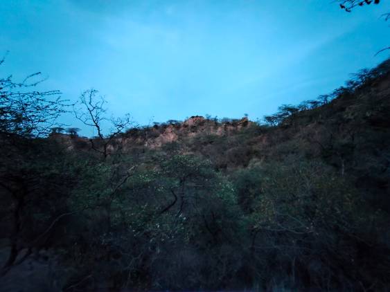 hill forest clicked with Realme 8 Pro ultrawide angle camera with Night mode