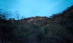hill forest clicked with Realme 8 Pro ultrawide angle camera with Night mode