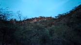 hill forest clicked with Realme 8 Pro ultrawide angle camera with Night mode