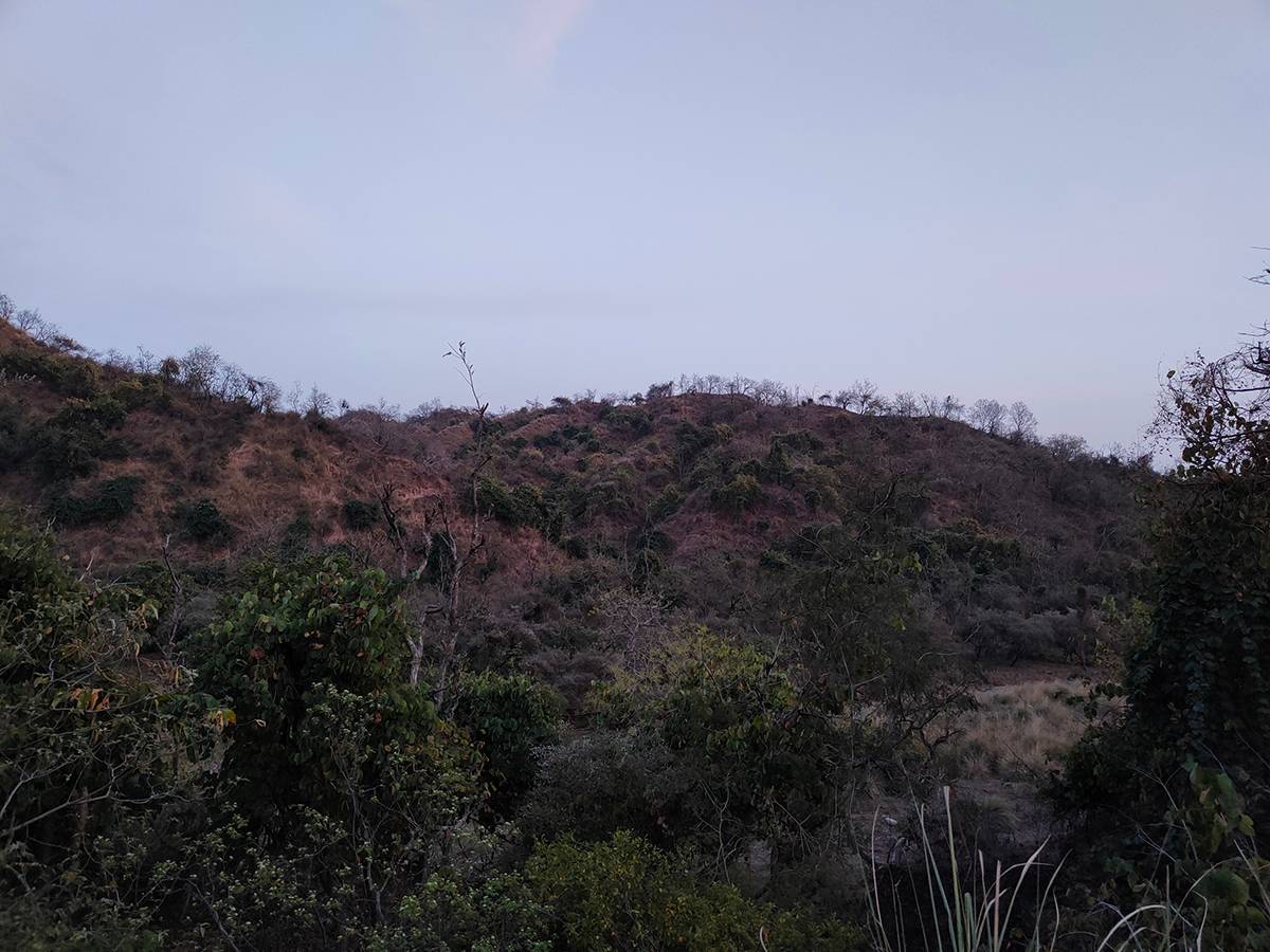 hill clicked with Realme 8 Pro 108MP camera