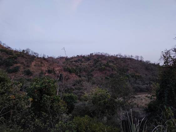 hill clicked with Realme 8 Pro 108MP camera