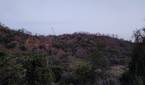hill clicked with Realme 8 Pro 108MP camera