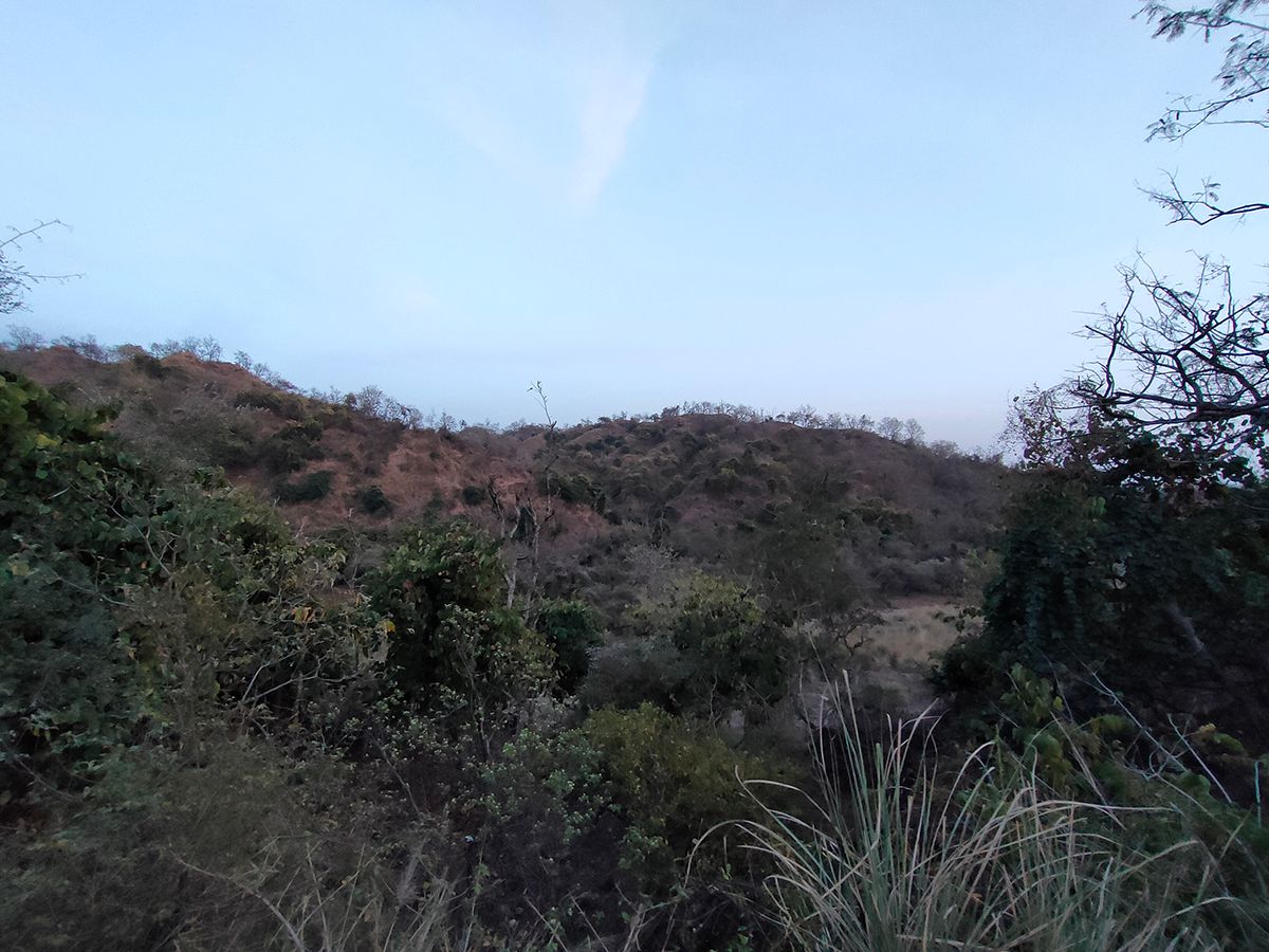 clicked with Realme 8 Pro ultrawide angle camera