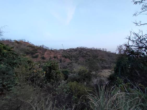 clicked with Realme 8 Pro ultrawide angle camera