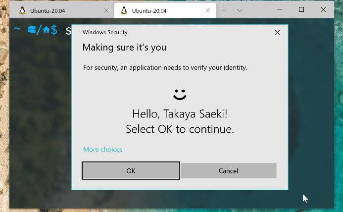 WSL Hello sudo brings Windows Hello authentication to Windows Subsystem ...