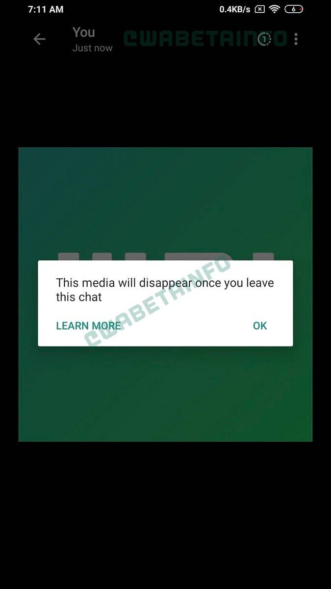 WhatsApp Self Destructing Images