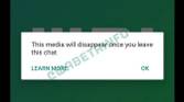 WhatsApp Self Destructing Images
