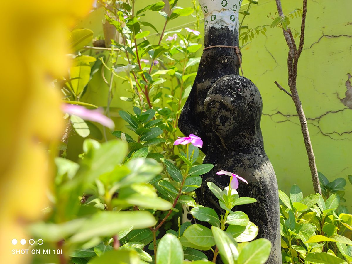 flower leaves and vase clicked with Xiaomi Mi 10i 108MP camera