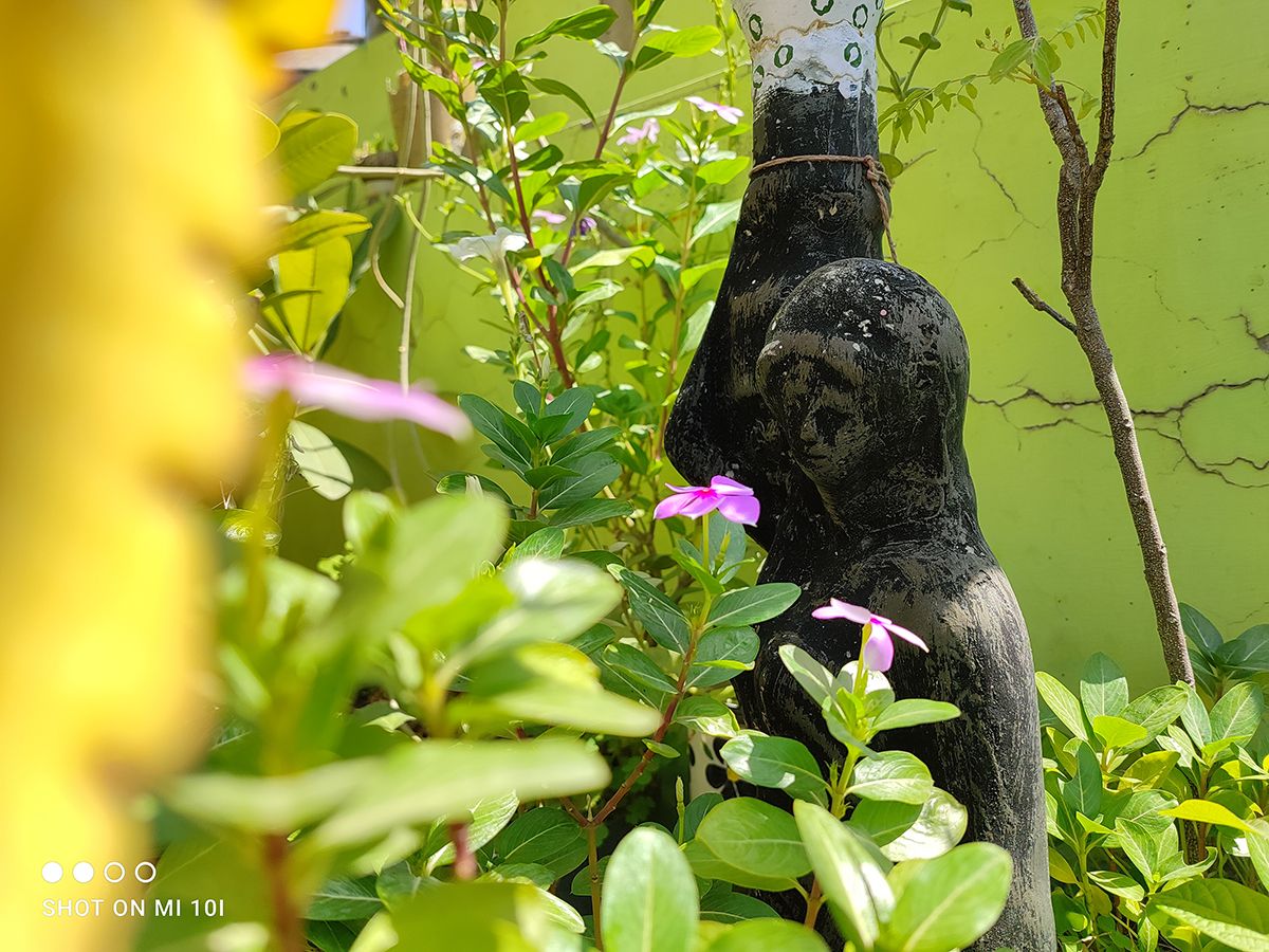 flowers and sculpture clicked with Xiaomi Mi 10i 12MP camera
