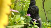 flowers and sculpture clicked with Xiaomi Mi 10i 12MP camera