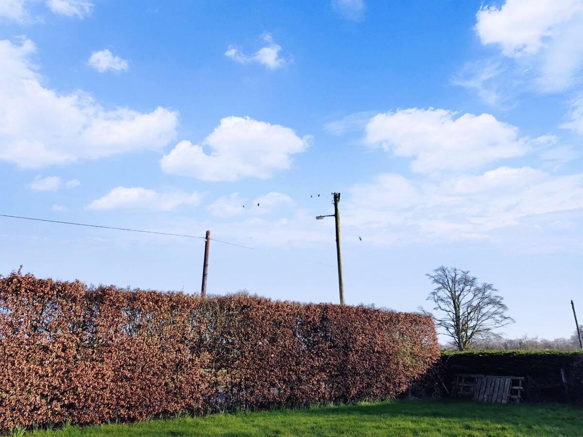 Xiaomi's AI sky editor changing the sky in a picture