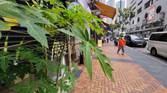 Ultra-wide angle shot with the ZTE Axon 30 Ultra.