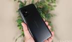 ASUS ZenFone 8 held up with a plant in the background
