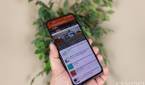 Holding up the ASUS ZenFone 8 with a plant in the background