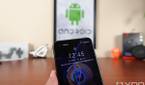 Camera use indicator dot on the ASUS ZenFone 8