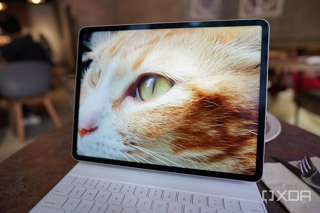 The Mini LED screen on Apple's new iPad Pro 2021 displaying a photo of a cat.