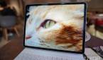 The Mini LED screen on Apple's new iPad Pro 2021 displaying a photo of a cat.